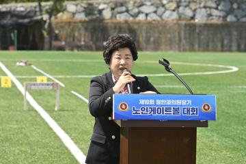 정안과원장기 게이트볼 대회