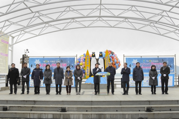 제12회 거제도국제펭귄수영축제