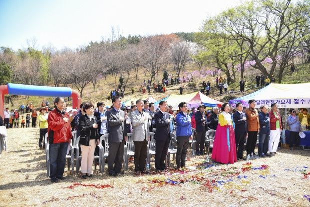 제21회 대금산진달래축제