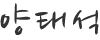 양태석